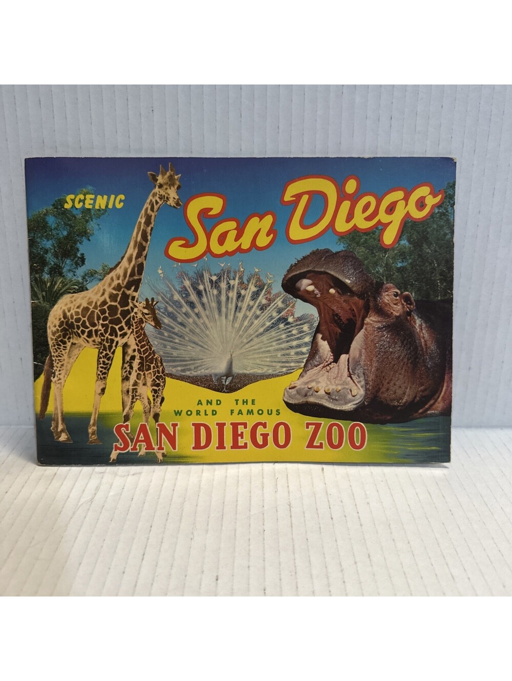 Scenic San Diego Zoo Vintage 1962 California Travel Brochure Pamphlet Souvenir